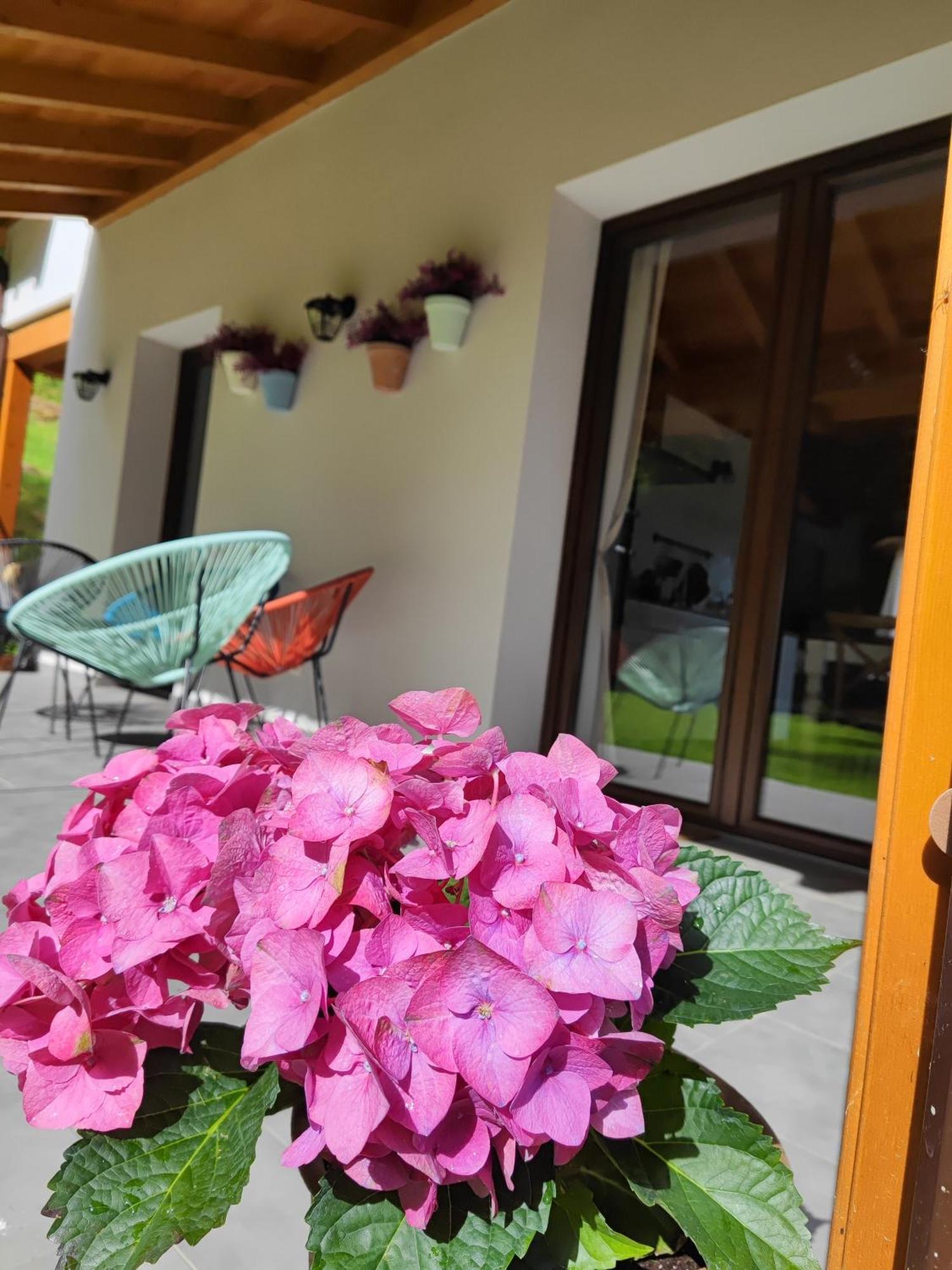 Reguero Gato Turismo Rural Candamin Ngoại thất bức ảnh